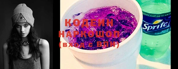 гидра Верхний Тагил
