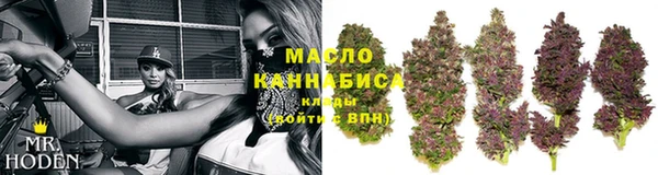 гашик Верея