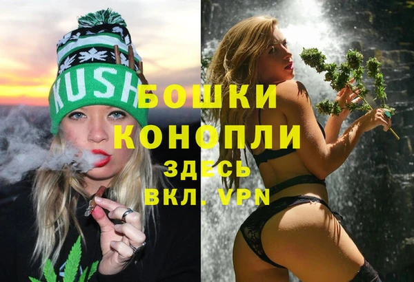 гидра Верхний Тагил