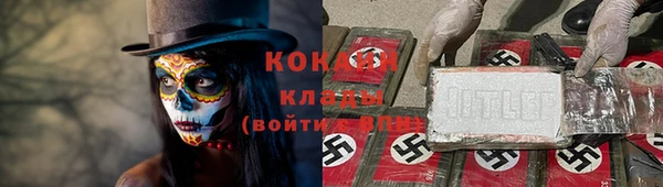 гашик Верея