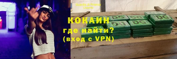 гашик Верея