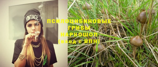гашик Верея