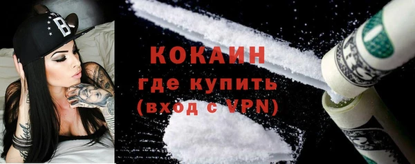 гашик Верея