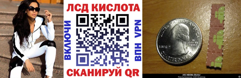 купить наркоту  Верея  Наркотические марки 1500мкг 