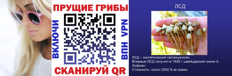 Галлюциногенные грибы Magic Shrooms  гидра ONION  Верея  цены  